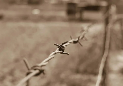 Barbded-Wire-e1548042531597