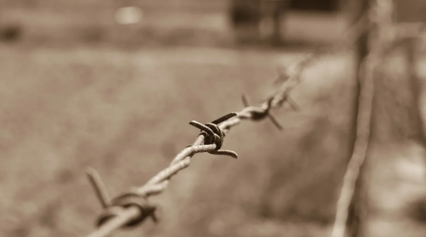 Barbded-Wire-e1548042531597